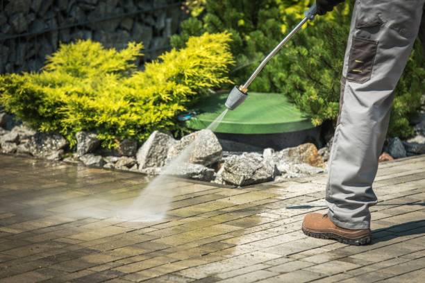 Best Driveway Pressure Washing  in Palmer Ranch, FL