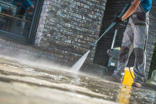 Best Dumpster Area Cleaning  in Palmer Ranch, FL